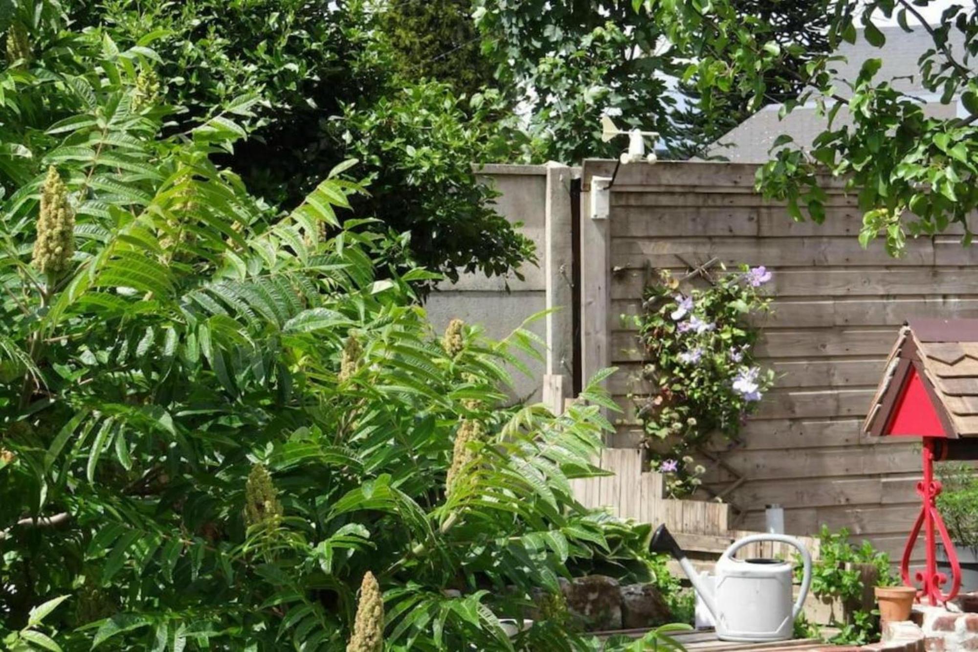 Clos Des Paquerettes : Maison Avec Jardin Privatif Ивто Экстерьер фото